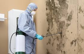  Gardner, MA Mold Removal Pros